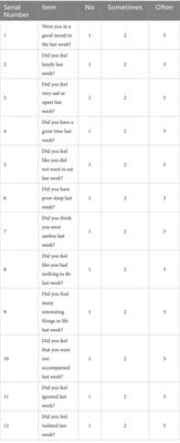 Impact of informal social support on the mental health of older adults